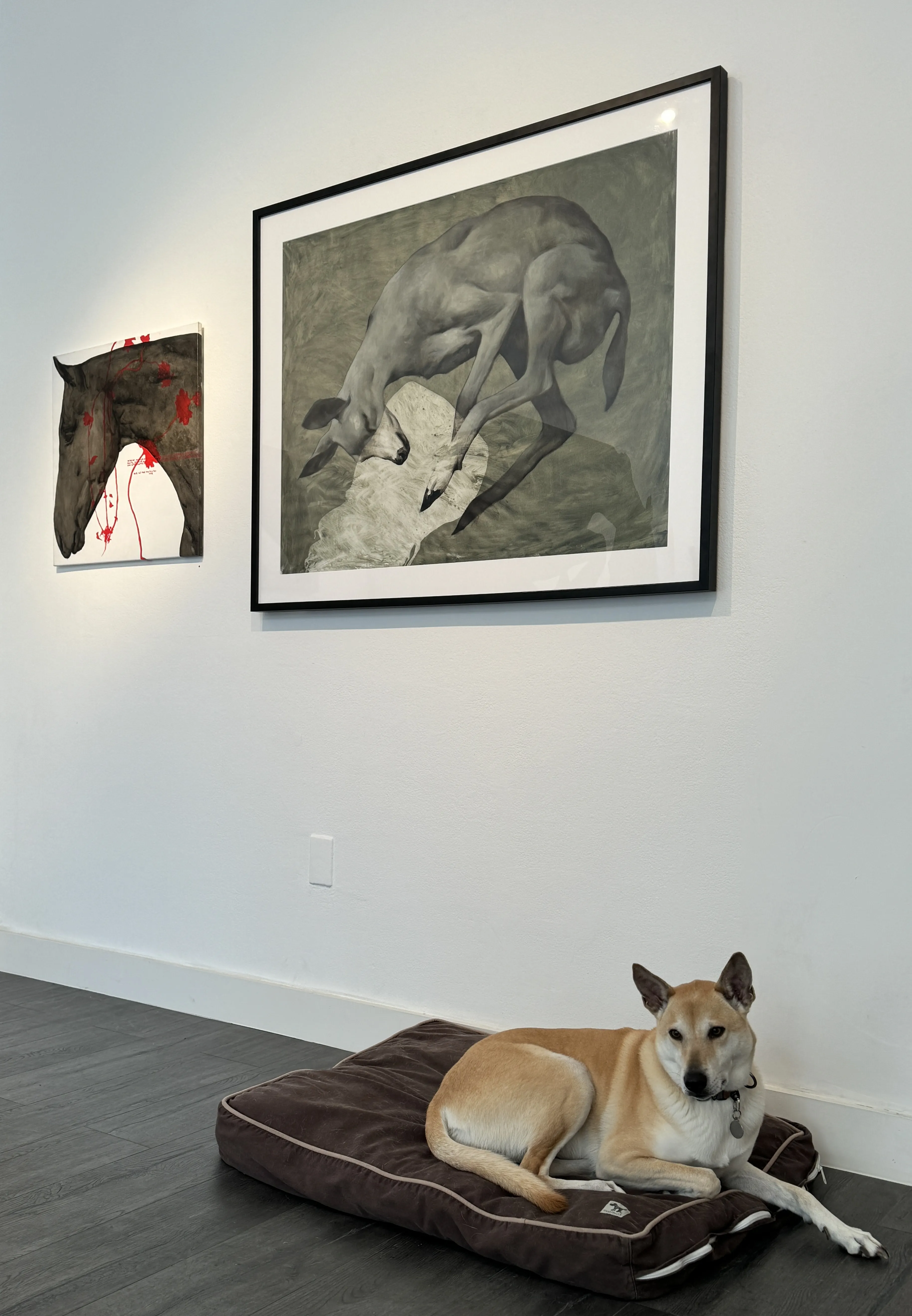 Image of Anna and her animals  by ANNA VERIKI, a Exhibitions, based in USA, San Francisco