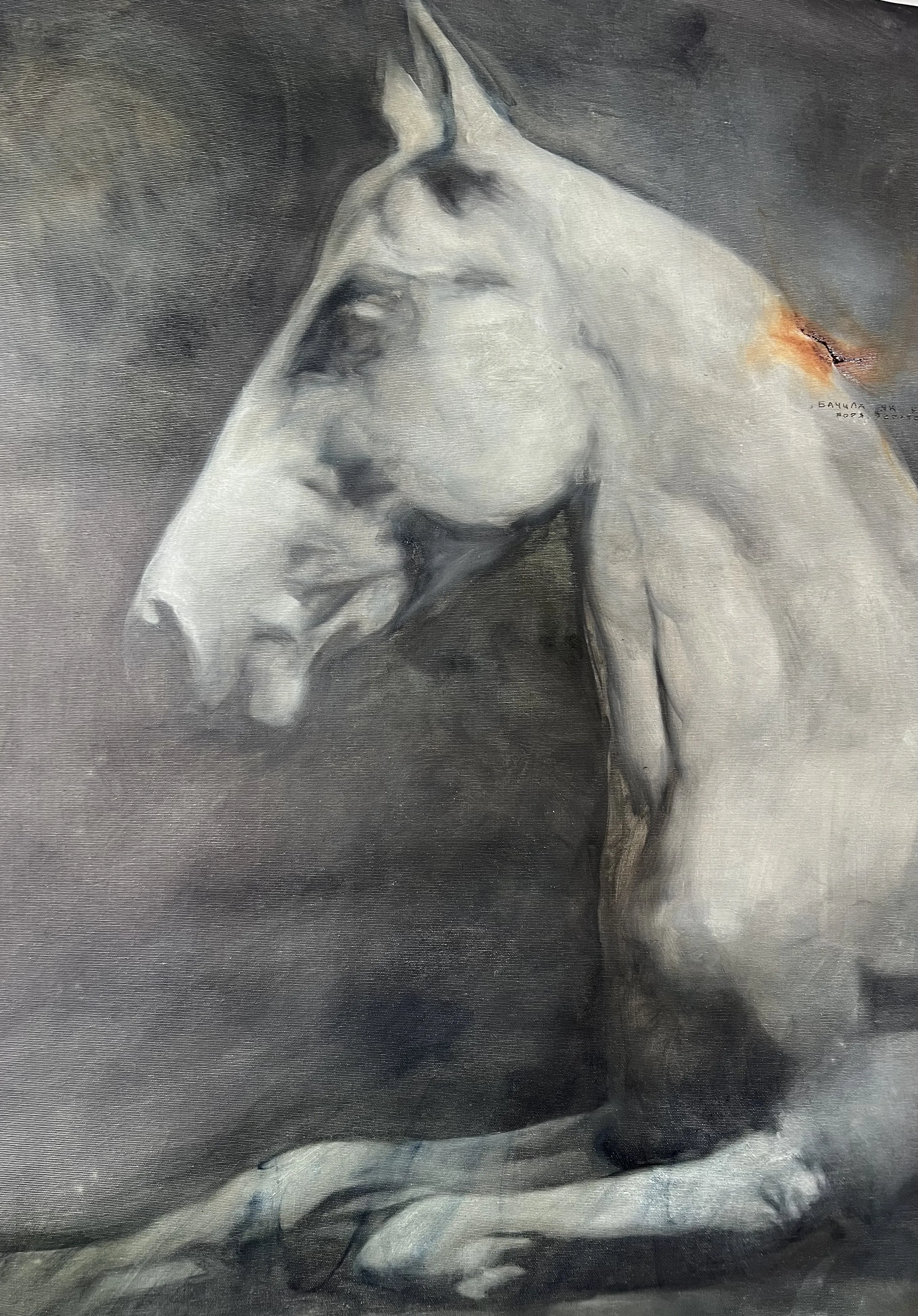 Image of Reservoir by ANNA VERIKI, size: 115x85 cm , made of Oil on canvas , Painting medium, from Kyiv, part of the Horses series, priced at €2000 Photo 4 of 5.
